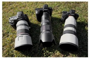 Canon R3, Nikon Z9, Sony A1: hay una ganadora?
