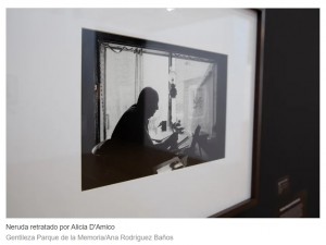 Alicia DAmico, la fotgrafa pionera que vuelve de las sombras