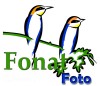 II Concurso Internacional de Fotografa de Naturaleza Fonatfoto