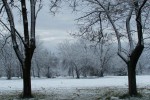 Nev en el parque