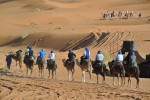 Expedicin al Desierto del Sahara