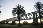 Puente y Palmeras