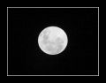 Luna lunera 2