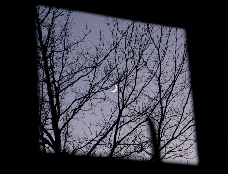 "la ventana y la luna" de Ricardo Alfredo Borthwick