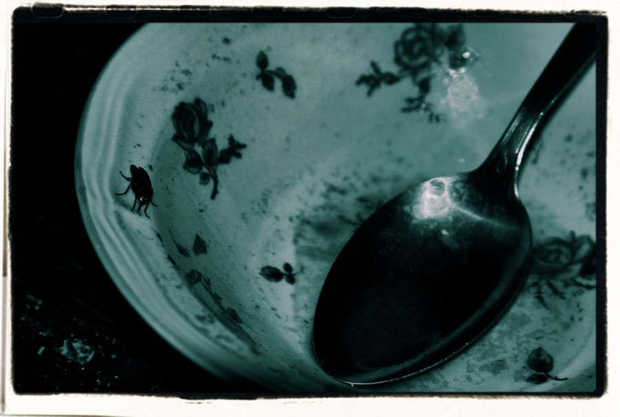 "La mosca en el plato." de Mario Tizn