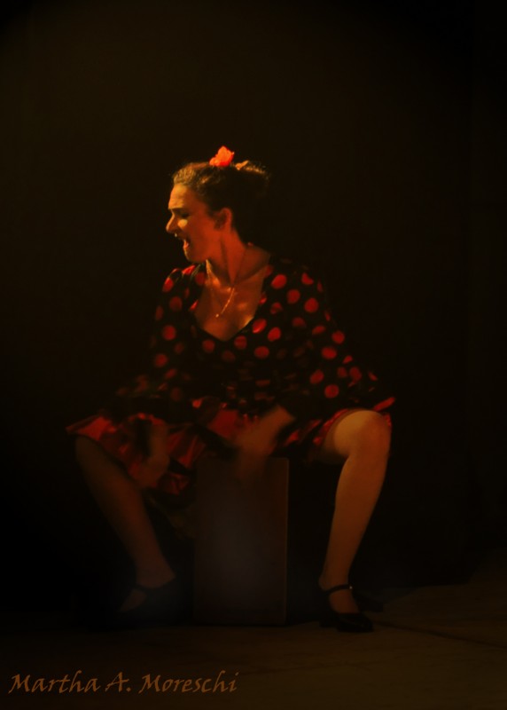 "Al toque del cajn flamenco" de Martha A. Moreschi