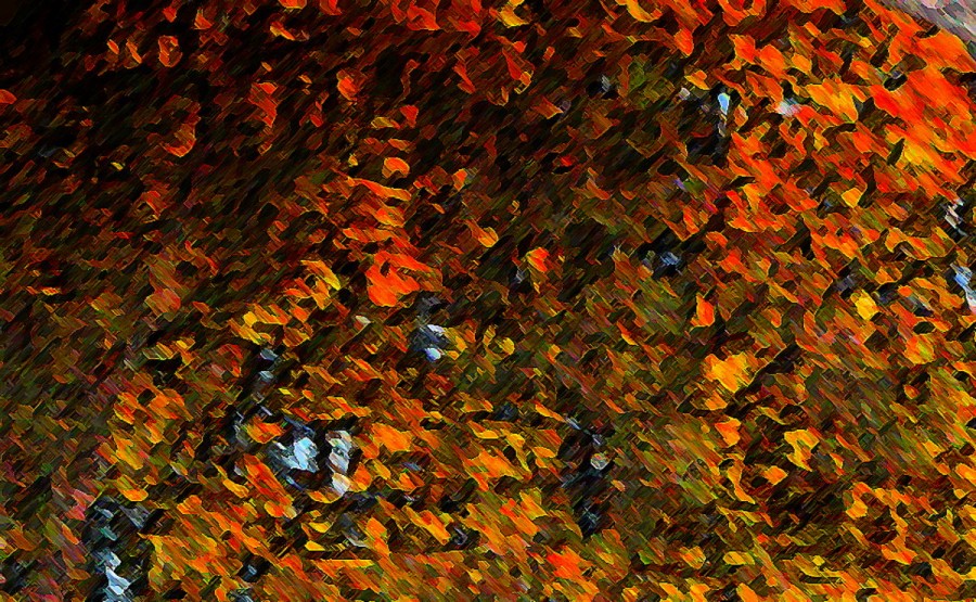 "Paleta y estilo Van Gogh en `Matas de Flores` 1" de Julia Tedesco