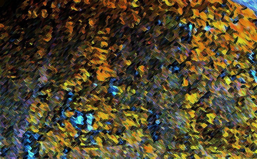 "Paleta y estilo Van Gogh en `Matas de Flores` 3" de Julia Tedesco