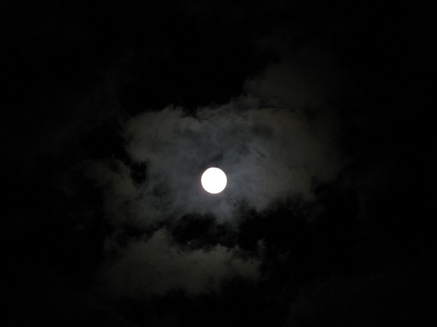 "as se vea la luna anoche" de Eduardo Dutto