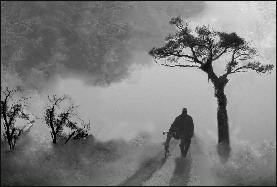 "Maana neblinosa" de Ruben Perea