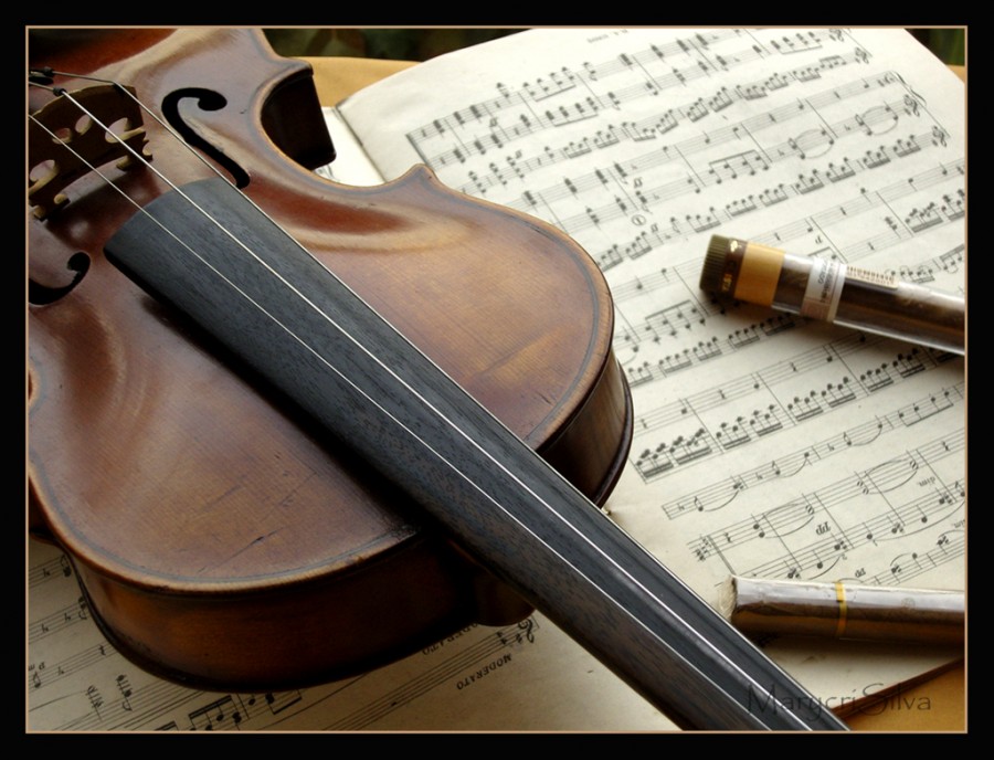"Mi adorado violin" de Maria Cristina Silva