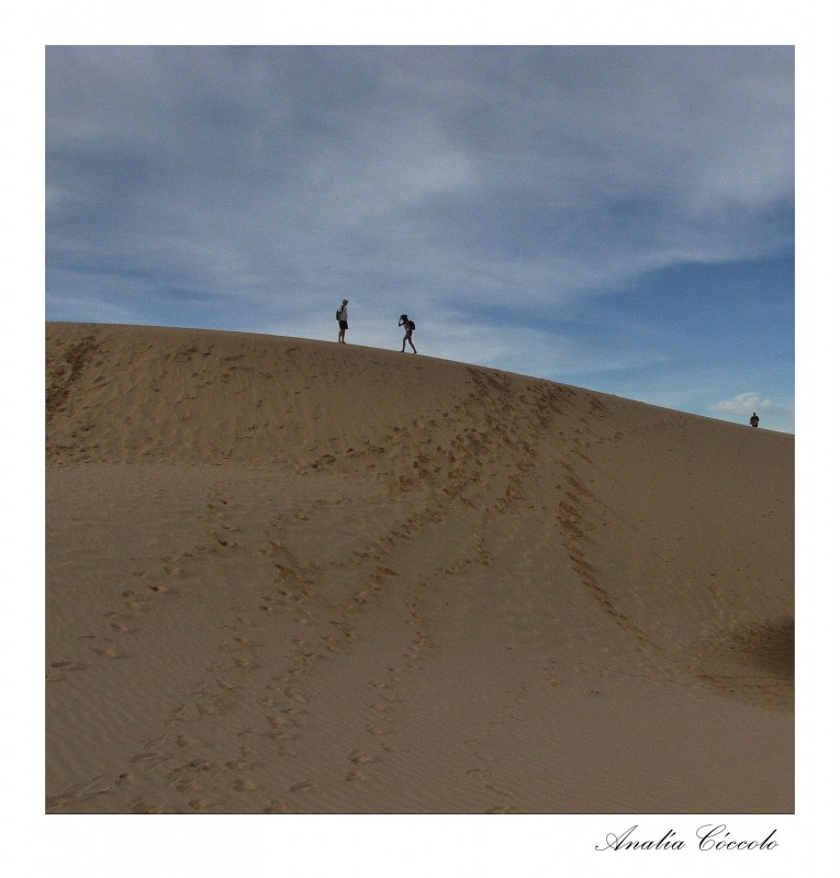 "2+1 en las dunas" de Analia Coccolo