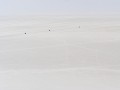 Camionetas cruzando la inmensidad del Uyuni