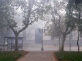 Neblina en la plaza