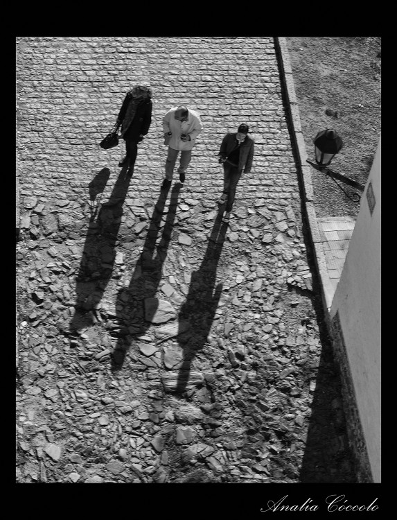 "Tres sombras y sus dueos" de Analia Coccolo