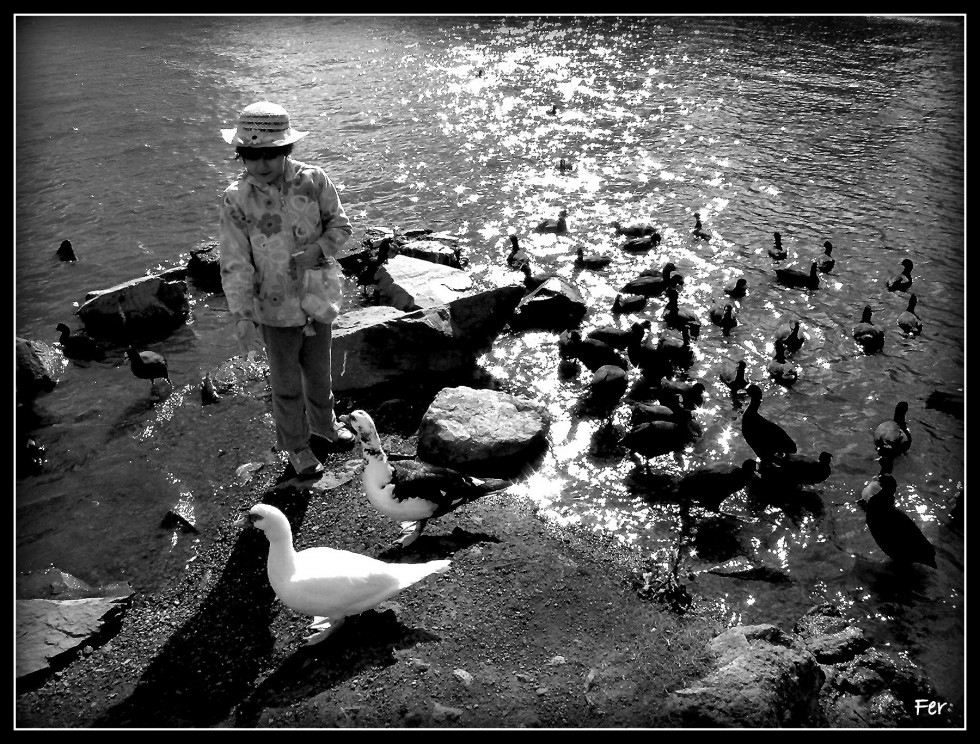 "En el lago con amigos" de Fer Lamon