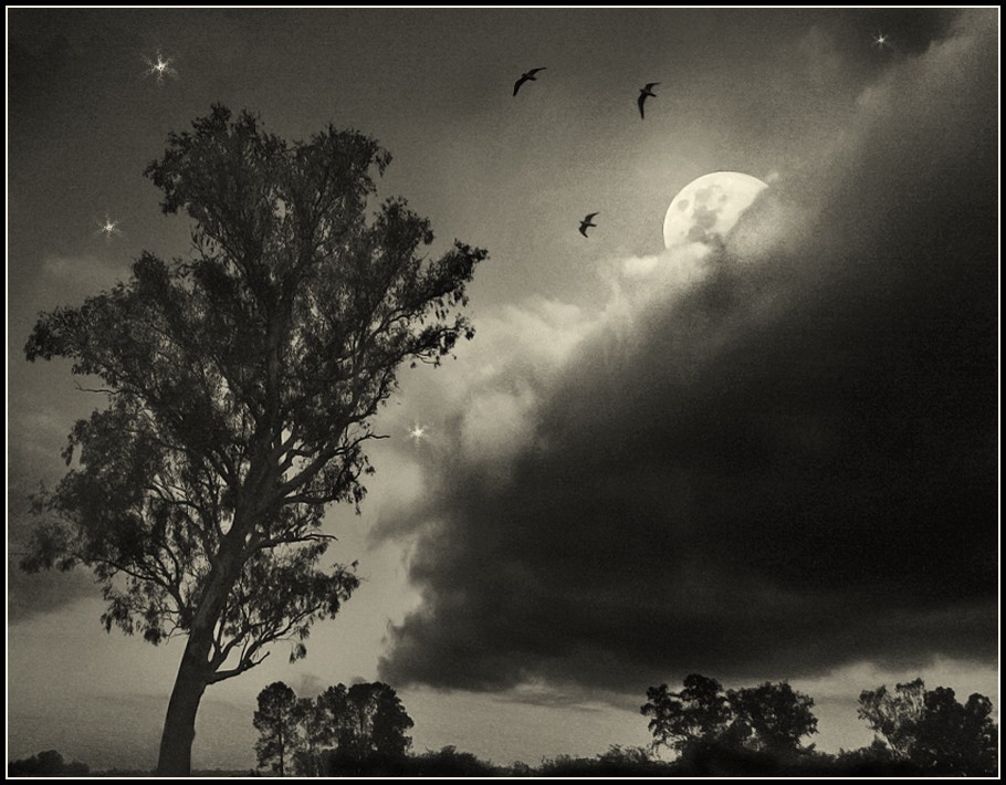 "El rbol que quiso abrazar a la nube y la luna" de Eli - Elisabet Ferrari