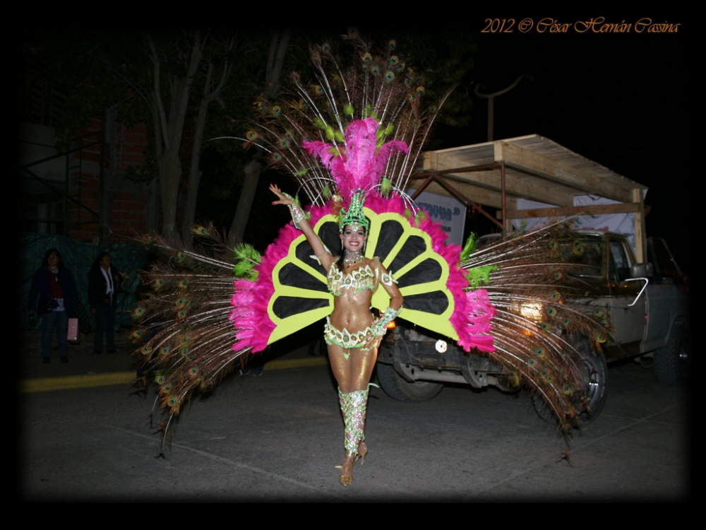 "Carnaval del pehun 2012" de Csar Hernn Cassina