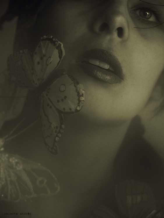 "Mariposa Nocturna" de Celeste Andrs