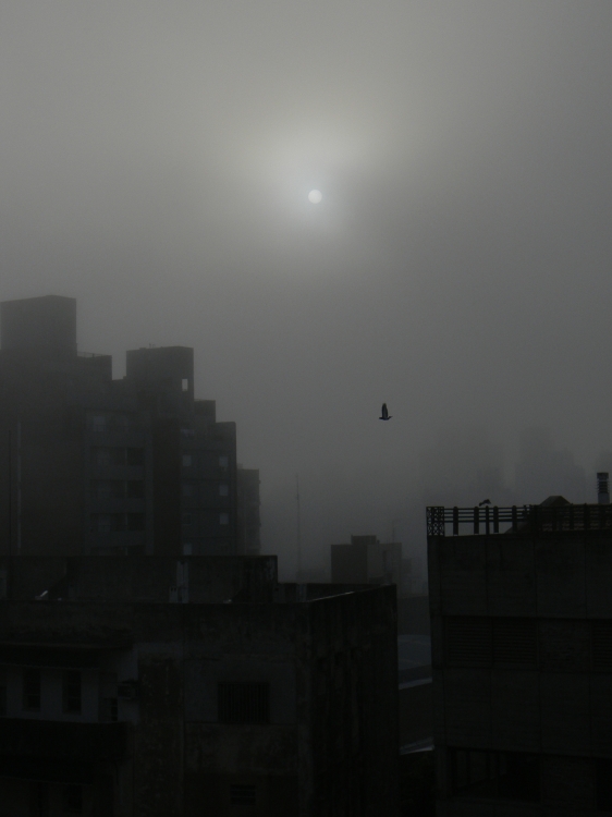 "Niebla en Rosario" de Ivn Pawluk