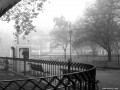 Neblina matinal