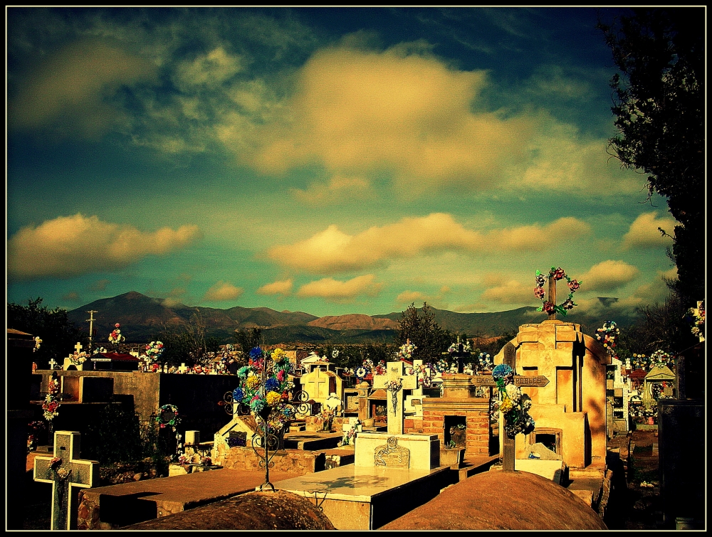"cementerio" de Viviana Garca