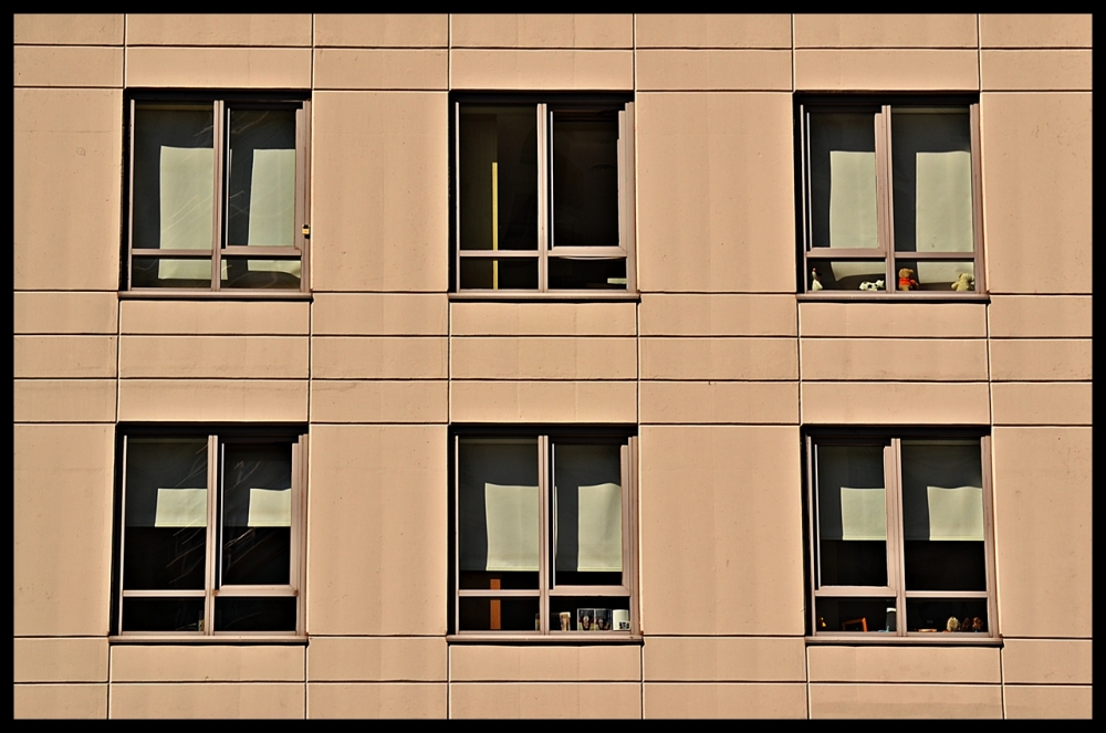"Windows" de Alberto Elizalde