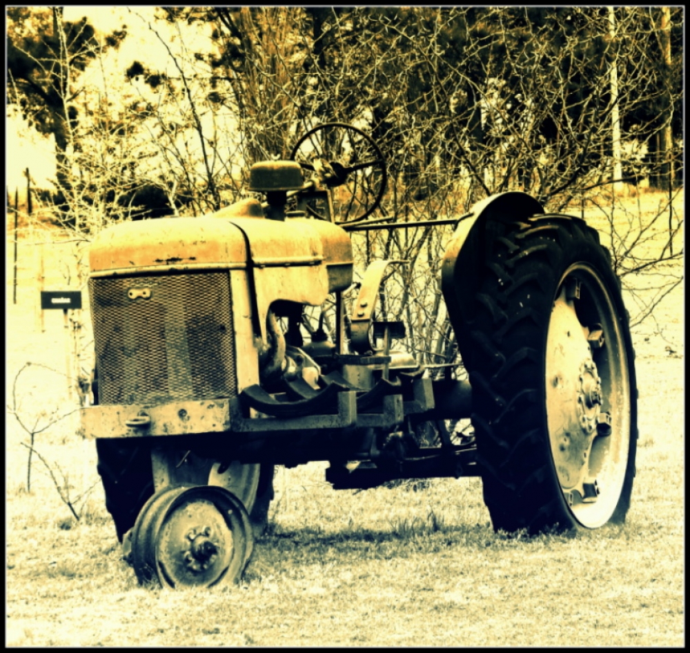 "Viejo Tractor" de Mercedes Bringas