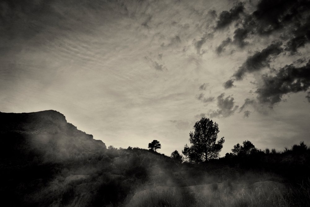 "La ladera" de Francisco Jos Cerd Ortiz