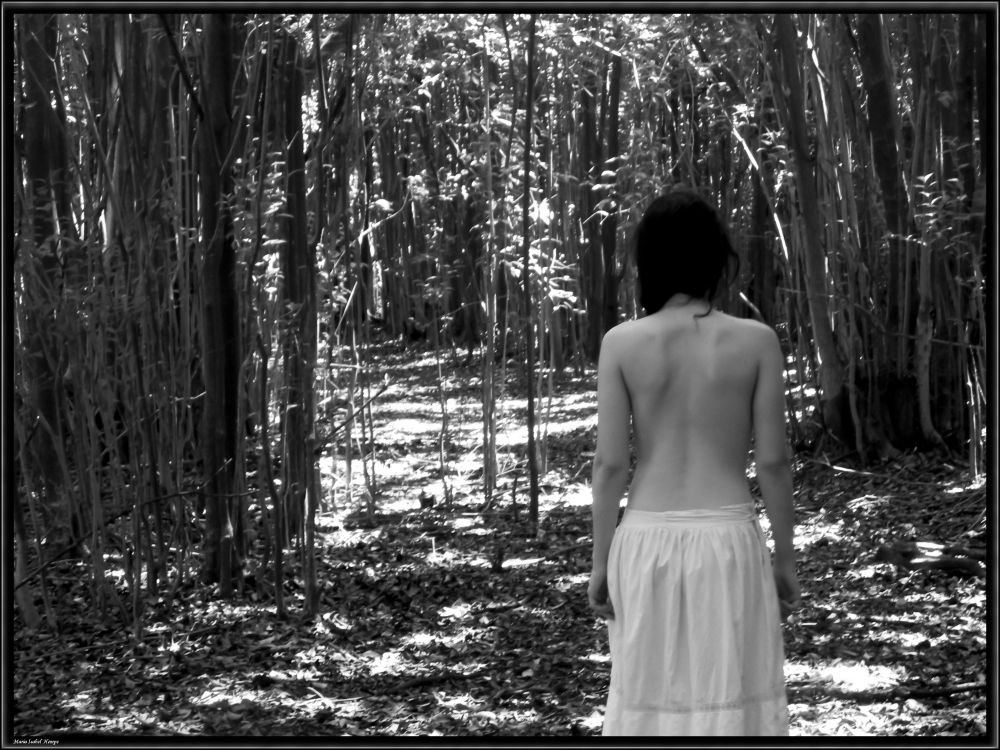 "En el bosque" de Maria Isabel Hempe