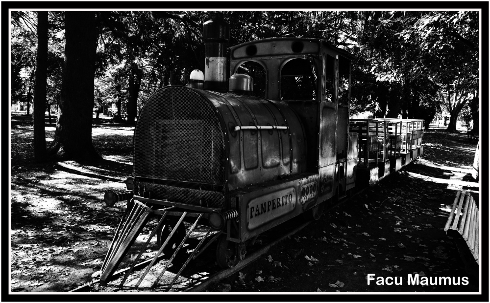 "el tren de la alegria en byn" de Facundo Maumus