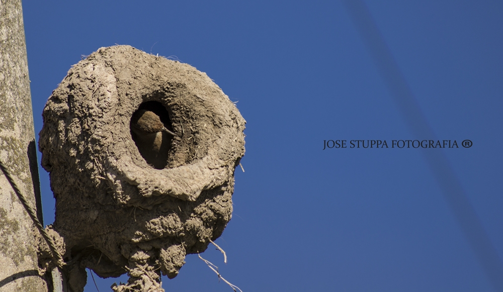 "ARQUITECTOS SIN MANOS" de Jose Luis Stuppa