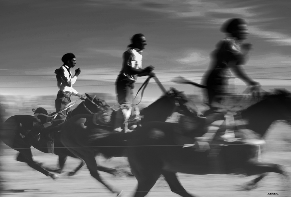 "caballos" de Marian Carola Lanfranco