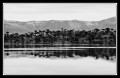 Lago Caviahue IV