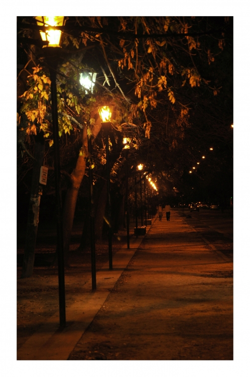 "Caminata nocturna" de Angela R. Bartoli