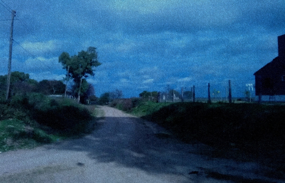 "camino al campo" de Guillermo Covelli