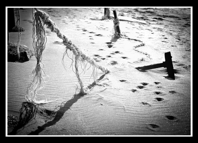 "Un paso por la arena" de Alfredo Mendez