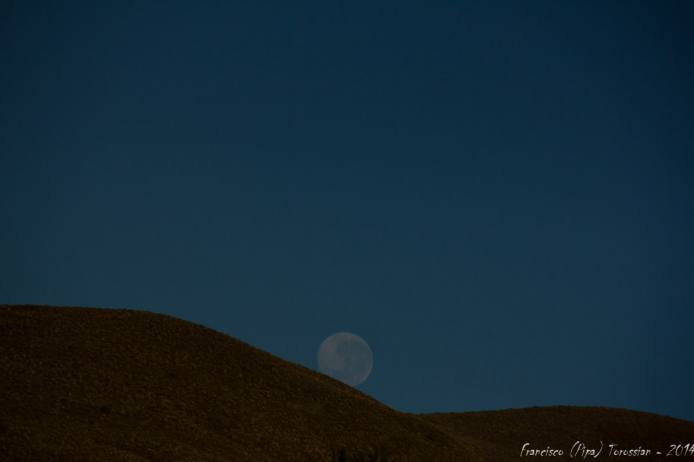 "la luna rodando por ... el campo" de Francisco Andres Torossian