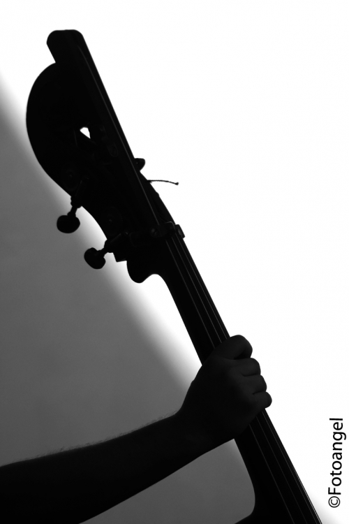 "The Bass Player" de Angel S. Gonzlez