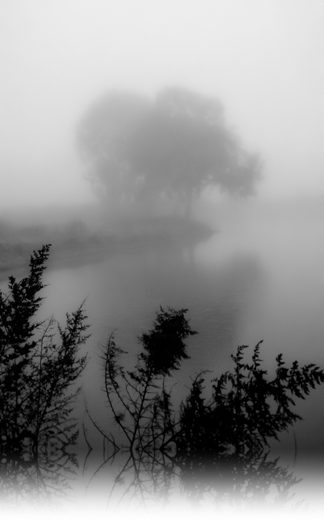 "En la niebla..." de Carlos Alberto Funes