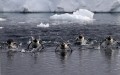 Equipo Antrtico de Nado Sincronizado