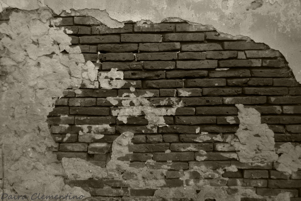 "The wall" de Daira Clementino