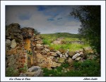 Las ruinas de Olaen