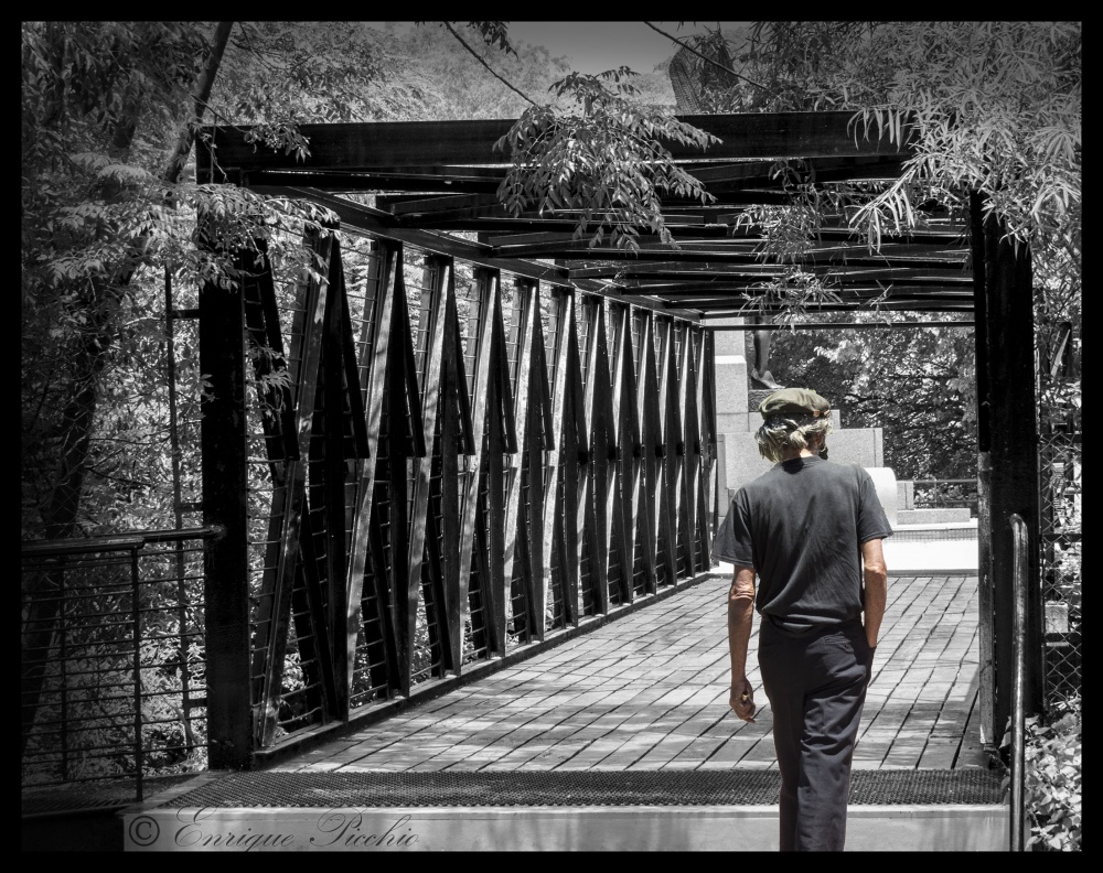 "Su destino est, cruzando el puente..." de Enrique M. Picchio ( Pem )