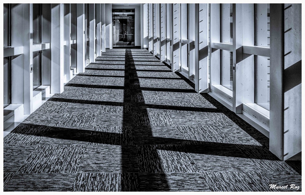 "Sombras en el pasillo." de Marcello Rodriguez Puebla