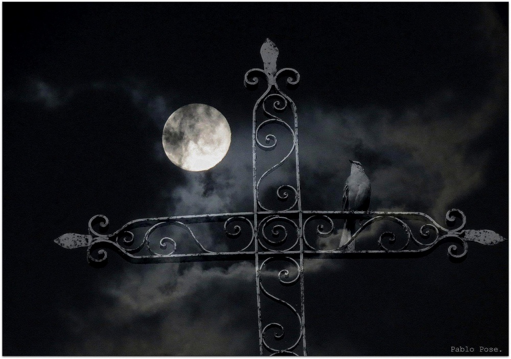"Noche de luna." de Pablo Pose