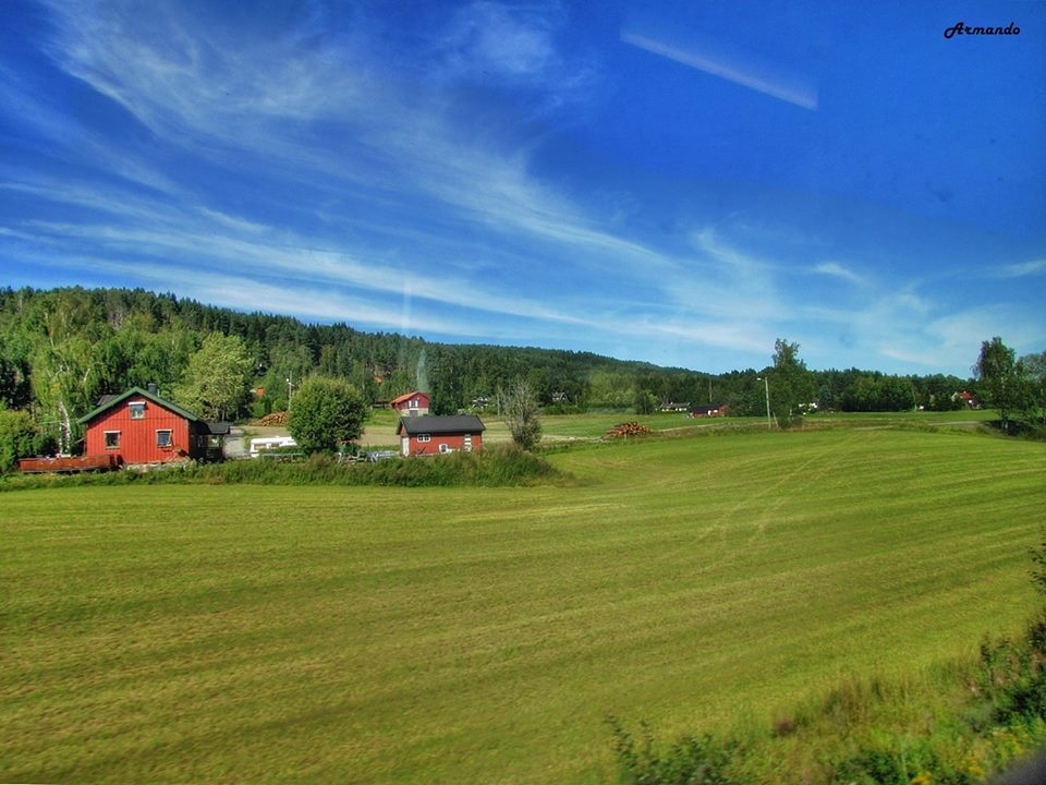 "Desde el tren , Noruega" de Armando Kazimierski