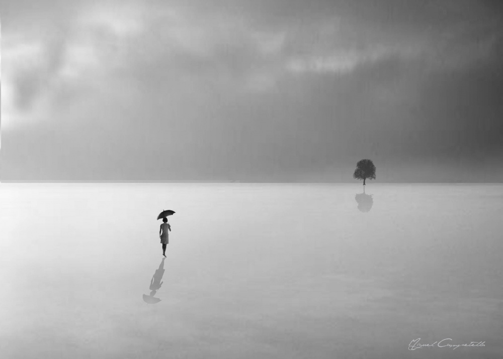 "La soledad ..." de Miguel Campetella