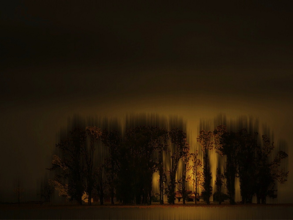 "Nocturno trastornado" de Mercedes Pasini