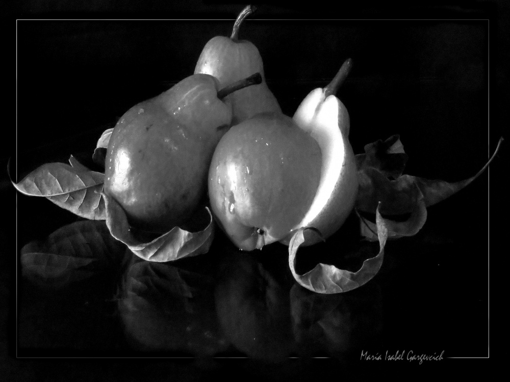 "Frutas de otoo" de Mara Isabel Gargevcich